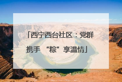西宁西台社区：党群携手 “粽”享温情